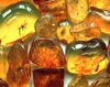 natural amber gemstones images