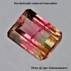 Bi Color Tourmaline