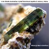 Green Tourmaline